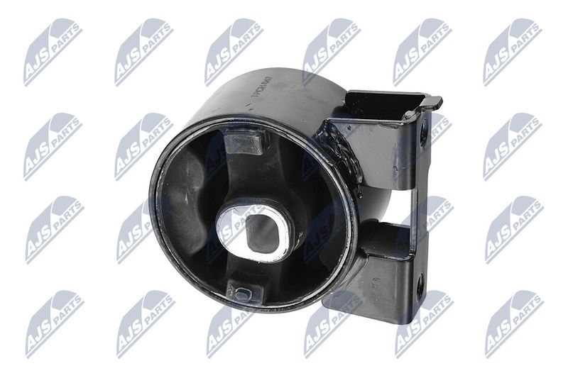 Paigutus, Mootor, NTY ZPS-CH-047