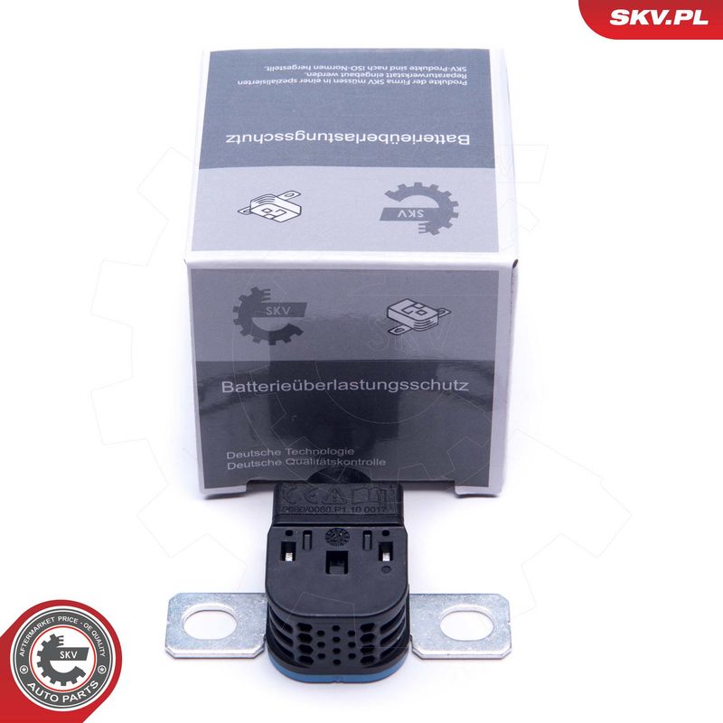 Ülepinge kaitseseade, generaator, ESEN SKV 96SKV317