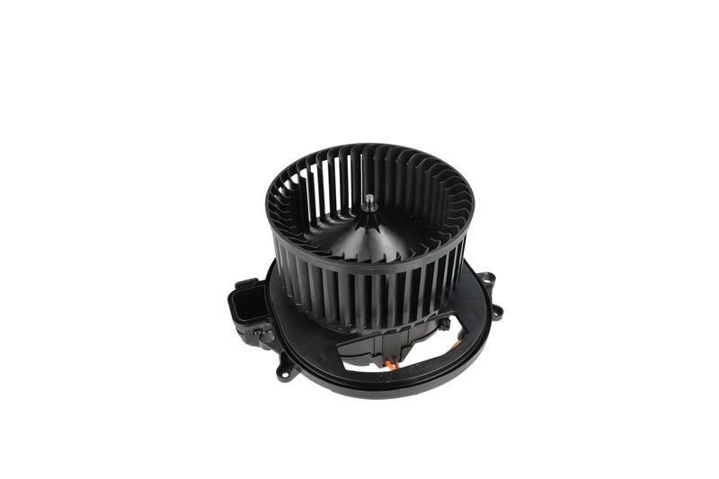 Salongipuhur, NRF 34236