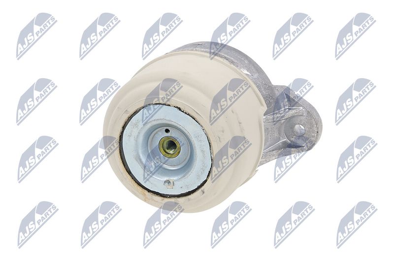 Paigutus, Mootor, NTY ZPS-ME-038