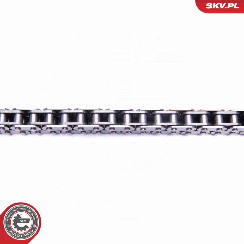 ESEN SKV 21SKV213 Timing Chain Kit