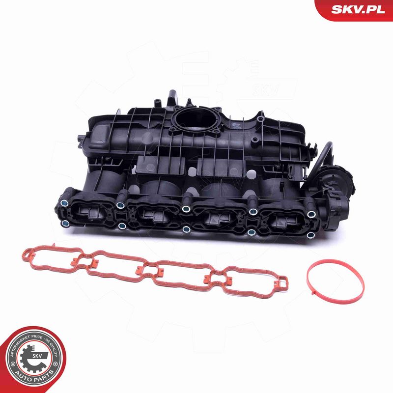 ESEN SKV 49SKV035 Intake Manifold Module