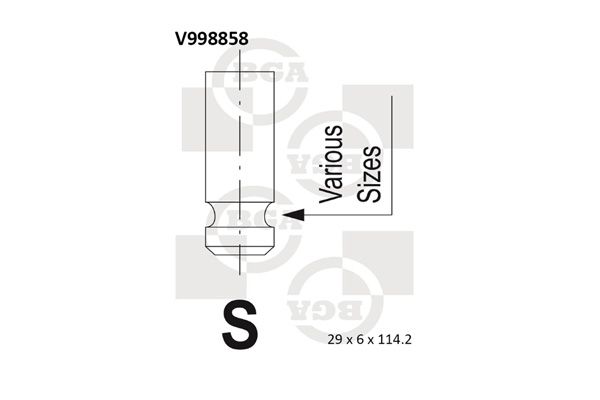 Випускний клапан, Bg Automotive V998858