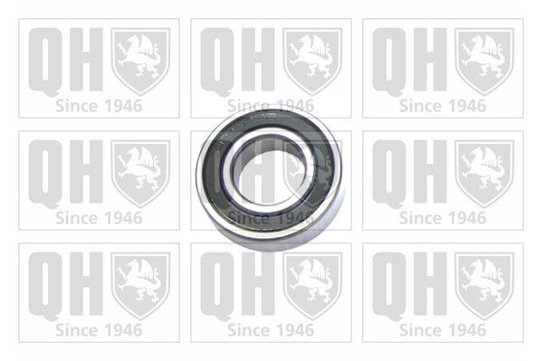 QH_XB9933.JPG