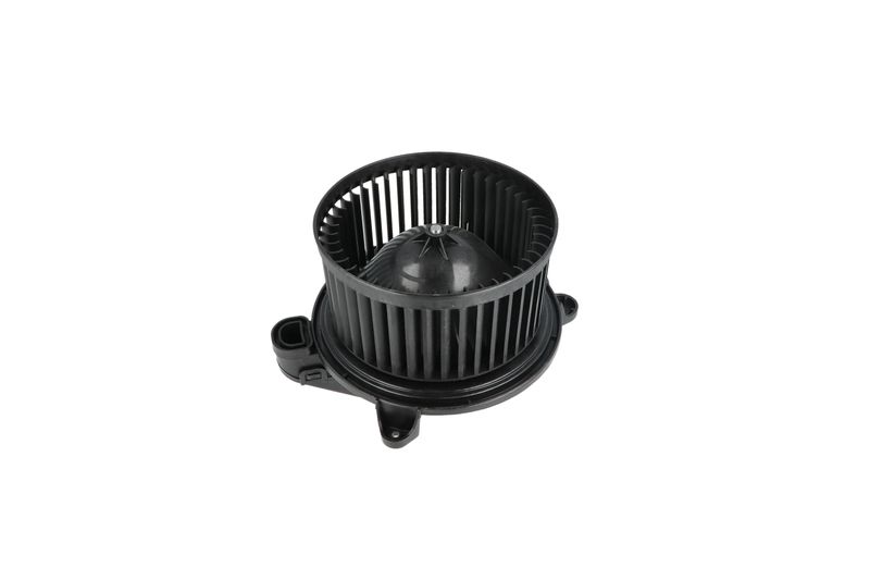 Salongipuhur, NRF 34365