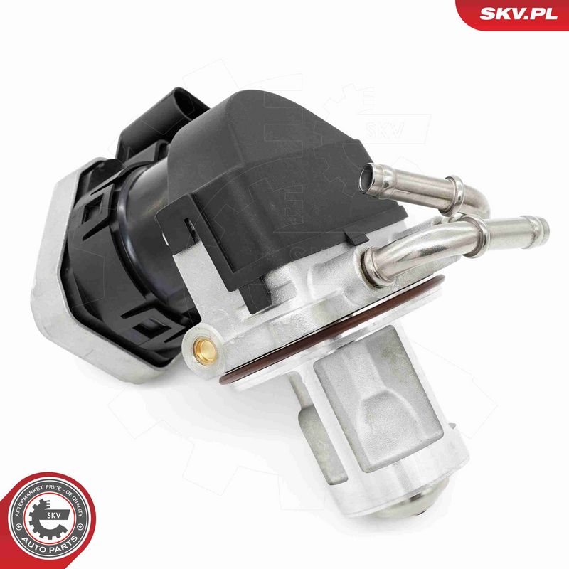 ESEN SKV 14SKV255 EGR Valve