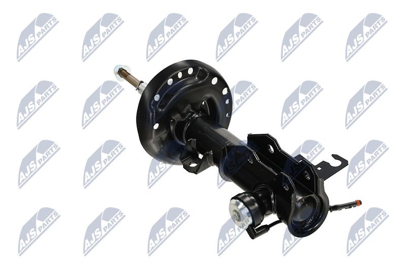 Amort, NTY A-PL-062