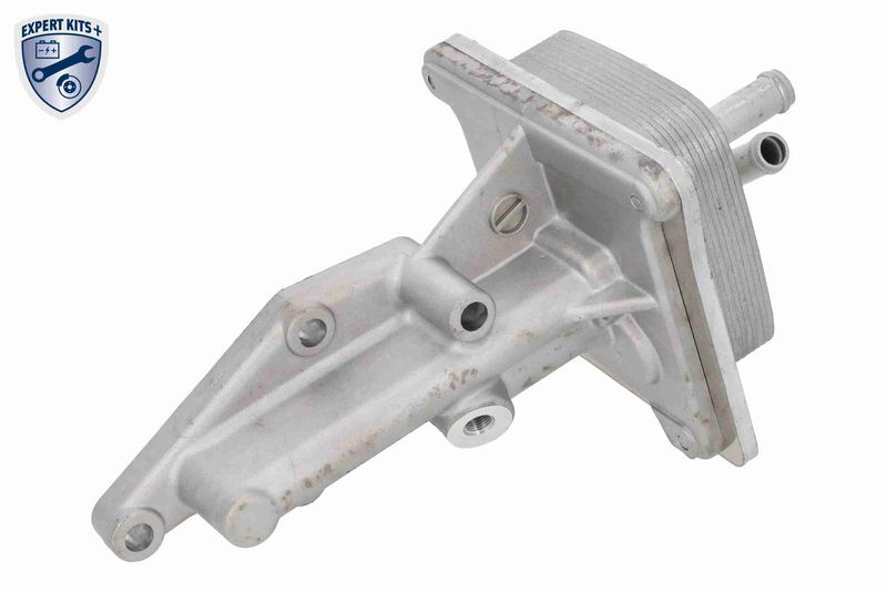 ACKOJA A38-60-0005 Oil Cooler, engine oil