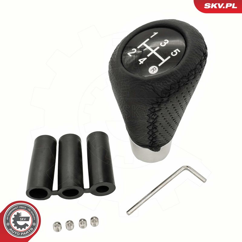 Käigukanginupp, ESEN SKV 63SKV173