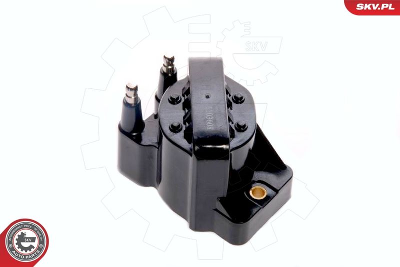 ESEN SKV 03SKV188 Ignition Coil
