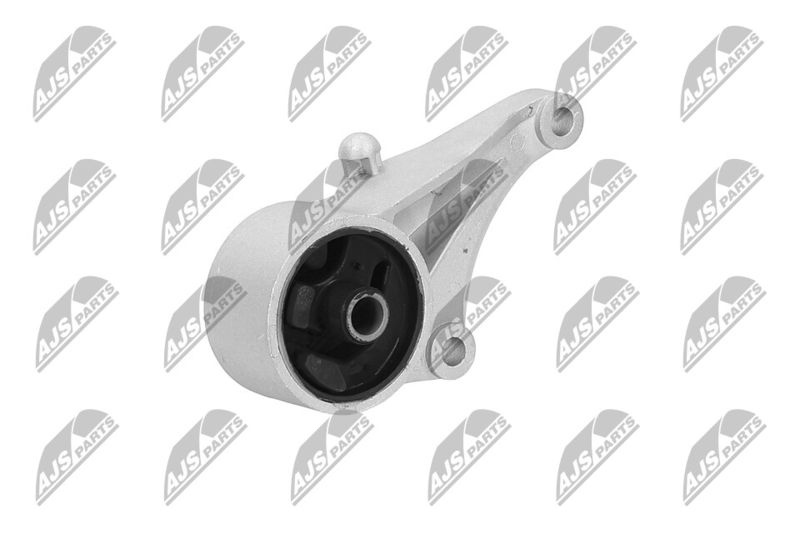 Paigutus, Mootor, NTY ZPS-PL-012