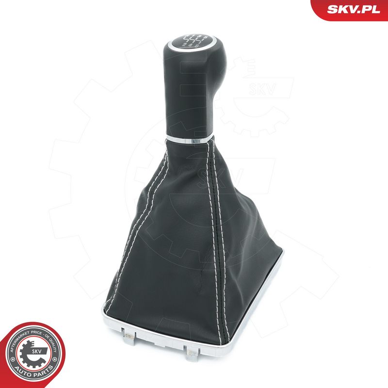 Käigukanginupp, ESEN SKV...