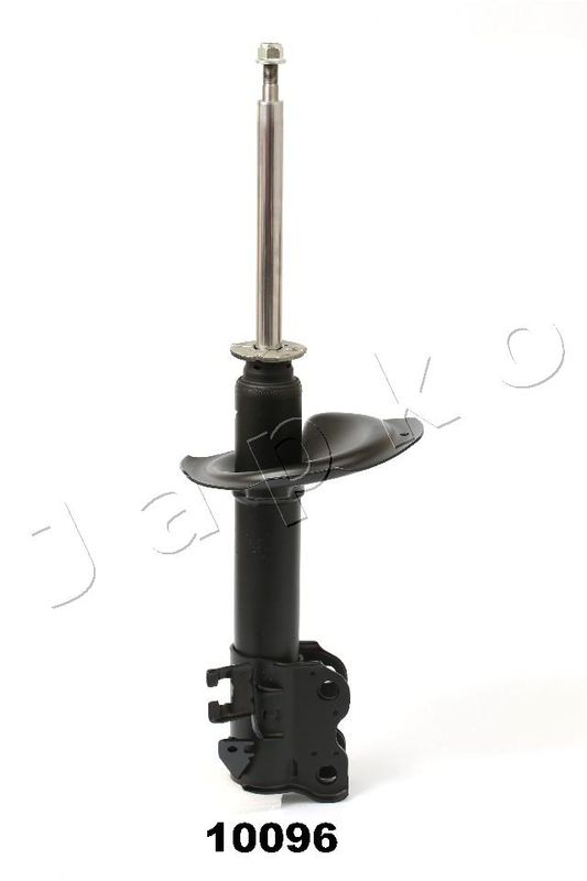 MJ10096_1.JPG