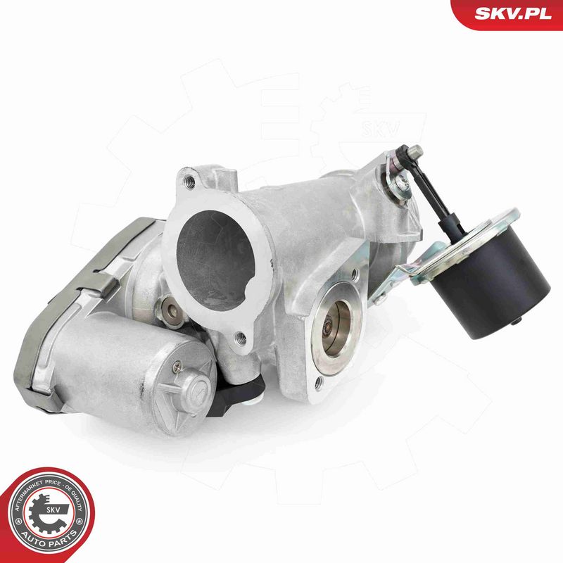 ESEN SKV 14SKV256 EGR Valve