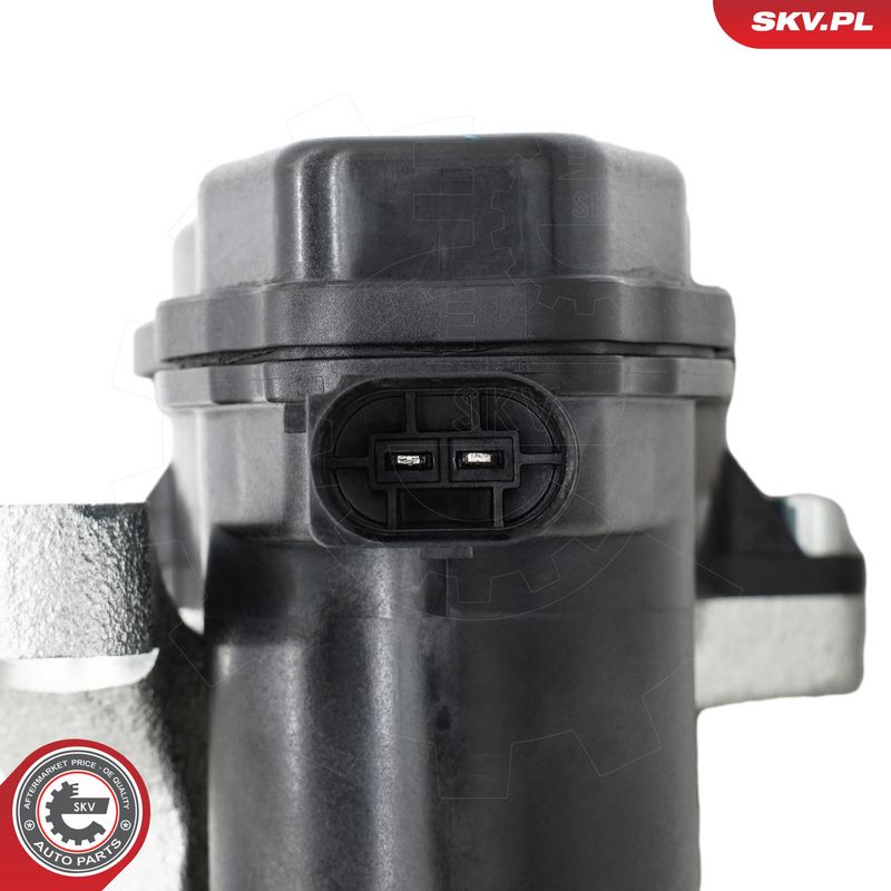 Pidurisadul, ESEN SKV 89SKV503