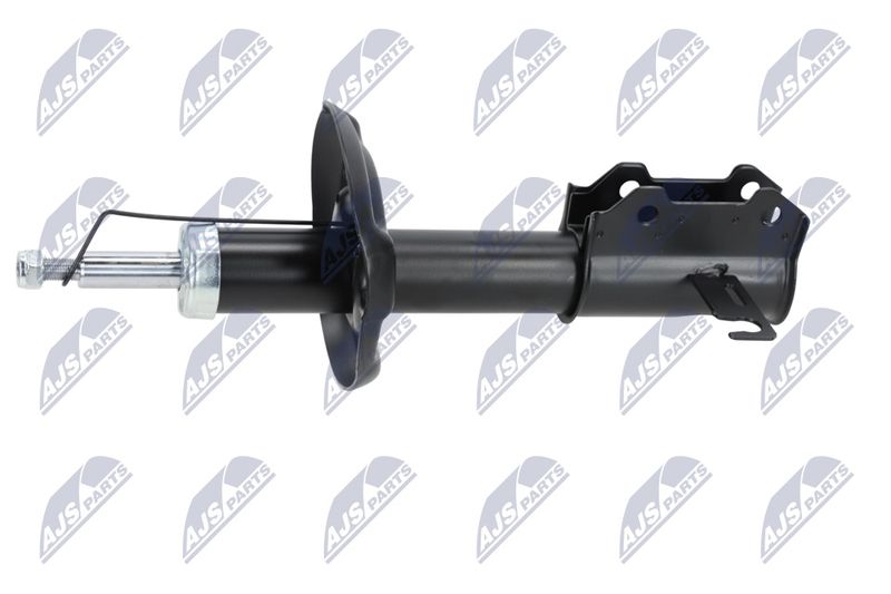 Amort, NTY A-PL-029