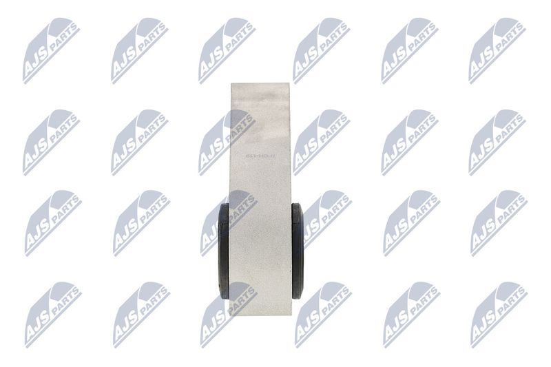 Paigutus, Mootor, NTY ZPS-CH-119