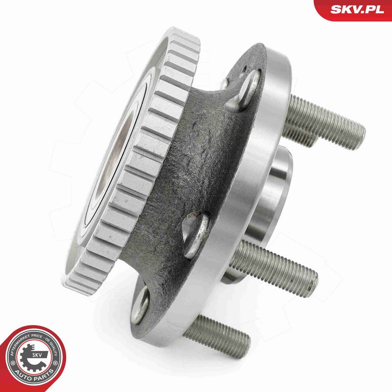 ESEN SKV 29SKV651 Wheel Bearing Kit