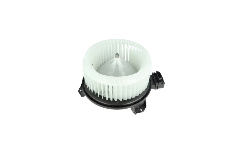 Salongipuhur, NRF 34244