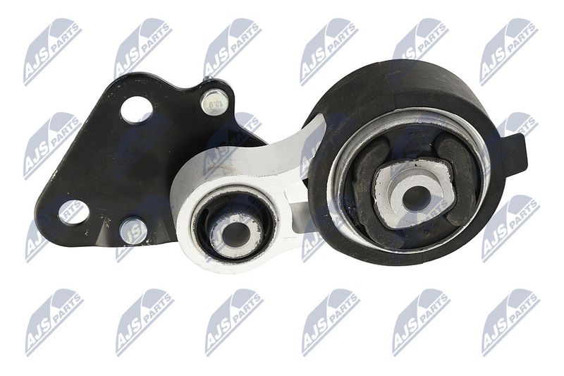 Paigutus, Mootor, NTY ZPS-CH-078