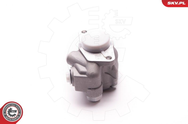 ESEN SKV 1SKV0012 Hydraulic Pump, steering