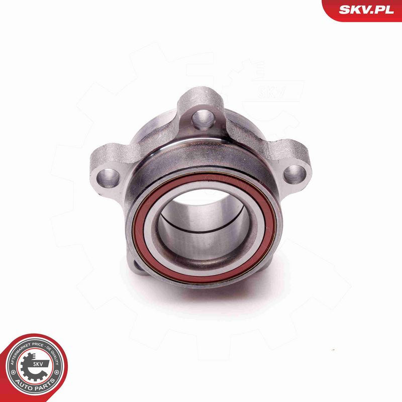 ESEN SKV 29SKV047 Wheel Bearing Kit