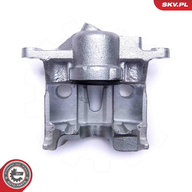 Pidurisadul, ESEN SKV 50SKV972