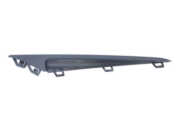 BLIC 6502-07-3555925P Trim/Protection Strip, bumper