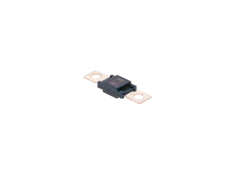 BOSCH 1987531004 Fuse