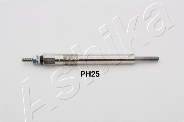 PH25_1.JPG