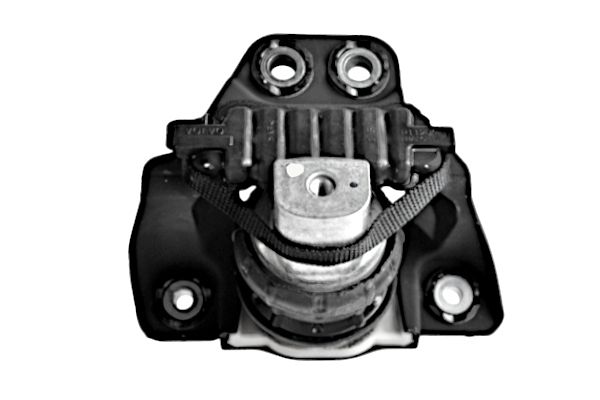 GOOM EM-1244 - Variklio pagalvė