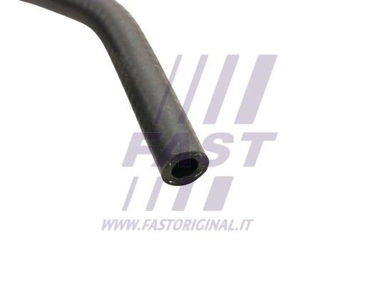FT61482_2_1.JPG