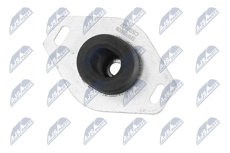 Paigutus, Mootor, NTY ZPS-PE-009