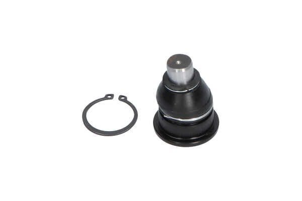 Kavo Parts SBJ-10011 Šarnyras