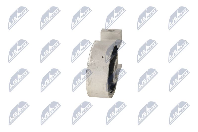 Paigutus, Mootor, NTY ZPS-FR-037