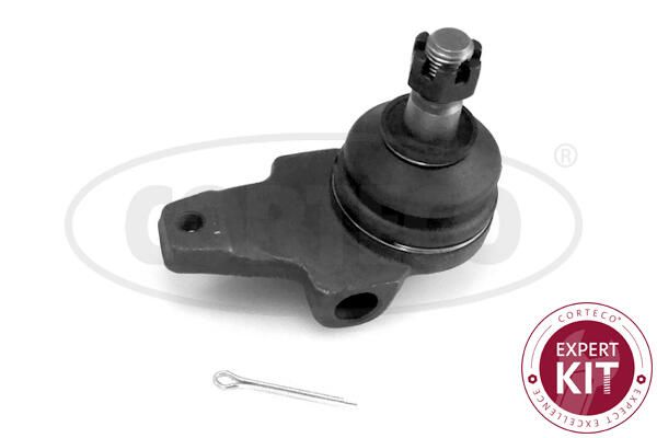 Kande-, juhtliigend,...