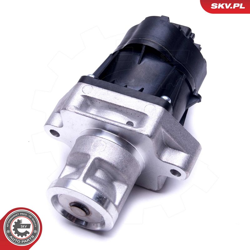 EGR-klapp, ESEN SKV 14SKV217