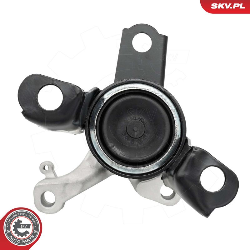 Paigutus, Mootor, ESEN SKV 75SKV252