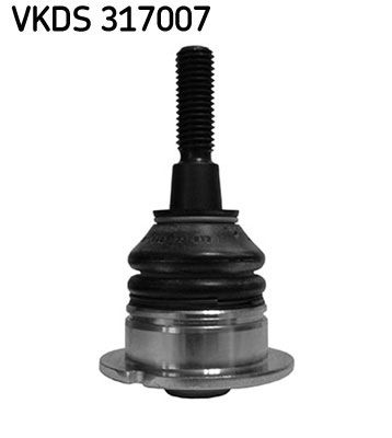 VKDS 317007.JPG