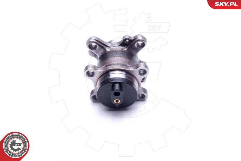 ESEN SKV 29SKV312 Wheel Bearing Kit