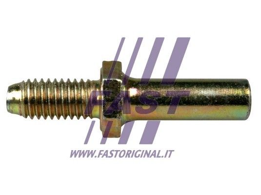FT95213_1_1.JPG