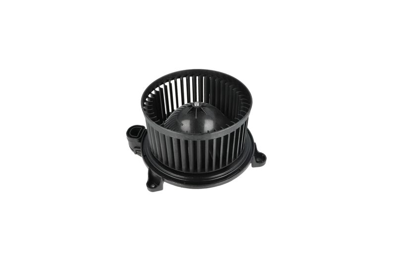 Salongipuhur, NRF 34365