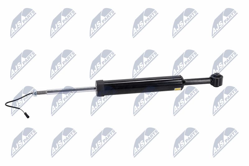 Amort, NTY A-MA-002