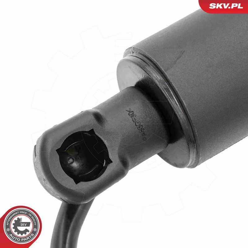 ESEN SKV 52SKV204 Electric Motor, tailgate
