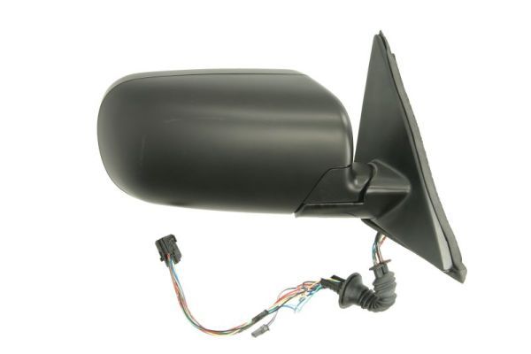 BLIC 5402-04-1139825P Exterior Mirror
