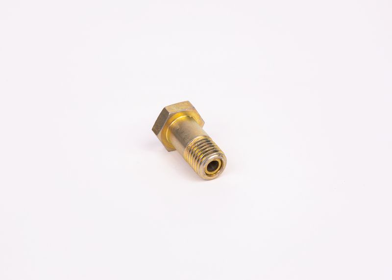 Surub F 002 D13 579 BOSCH