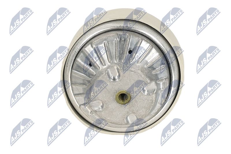 Paigutus, Mootor, NTY ZPS-ME-108