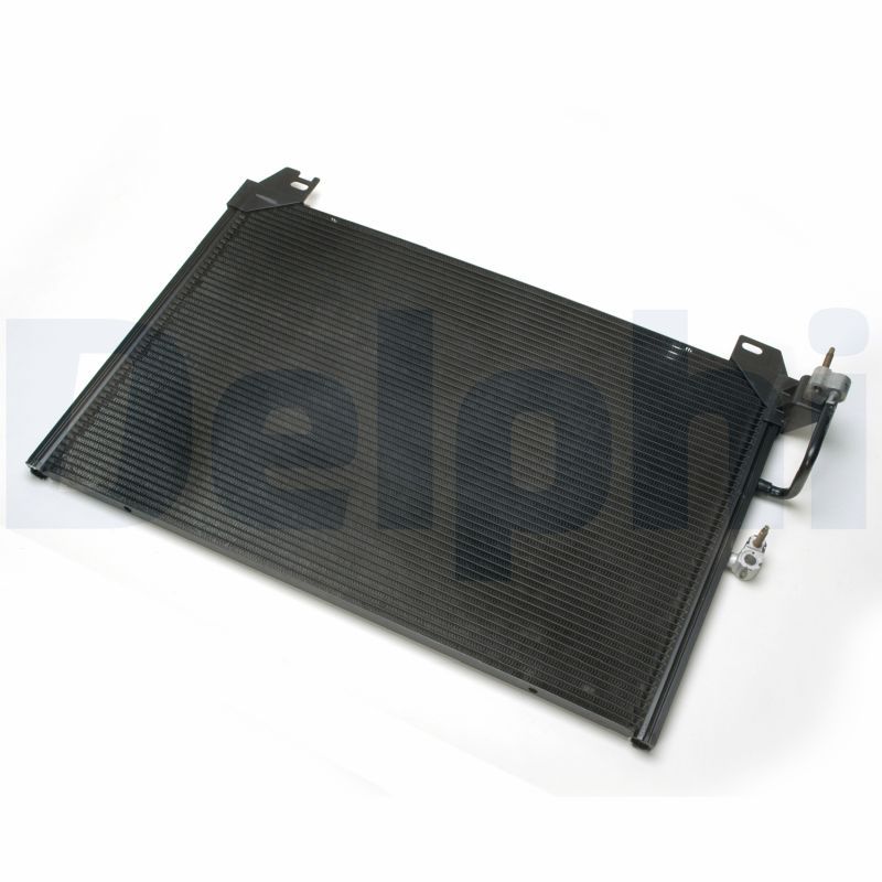 CF10020.JPG