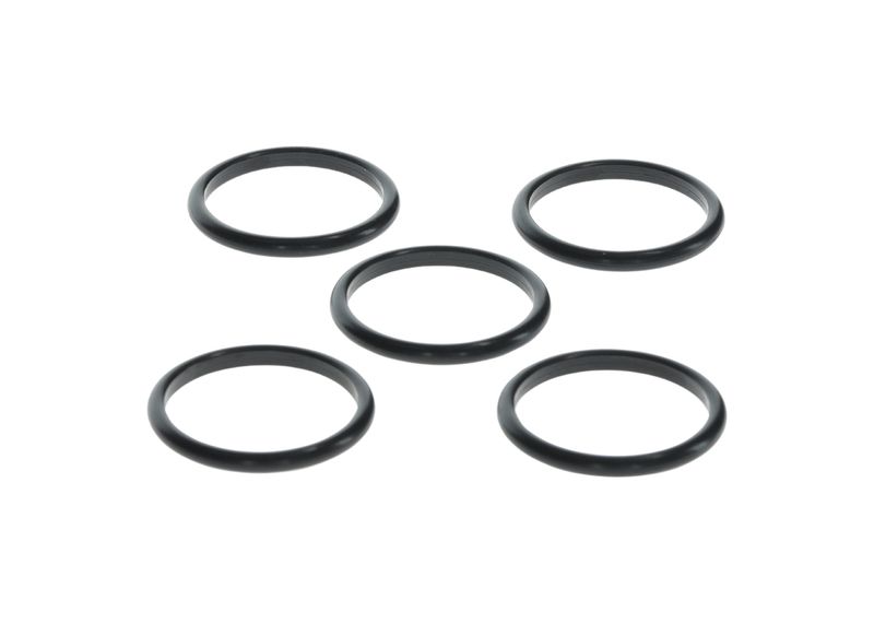 BOSCH H 146 600 080 Rubber Ring