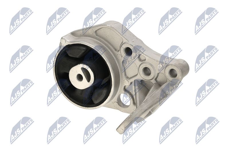 Paigutus, Mootor, NTY ZPS-CH-113